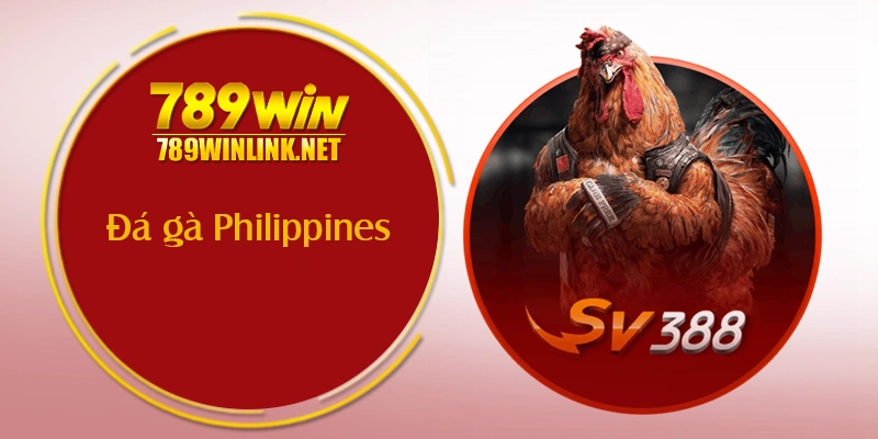 Đá gà Philippines (SV388, S128)